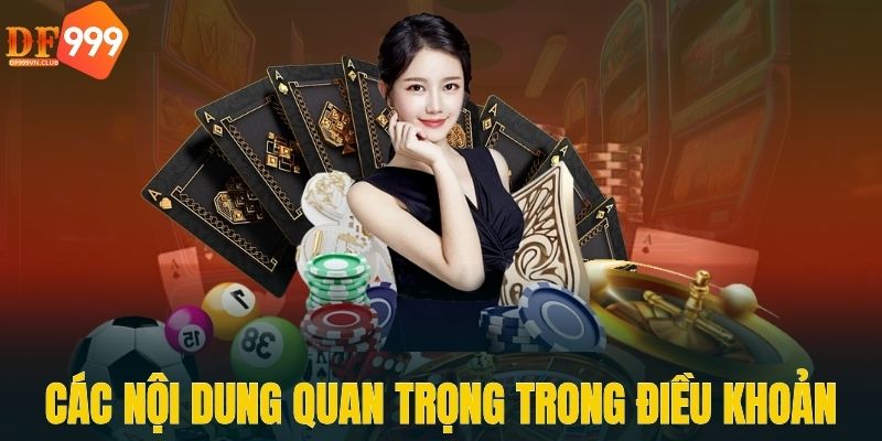 Các nội dung quan trọng trong điều khoản của DF999