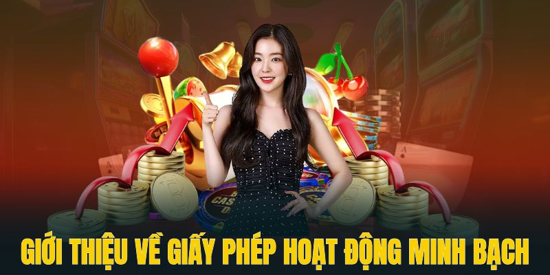 Giới thiệu DF999 về giấy phép hoạt động minh bạch